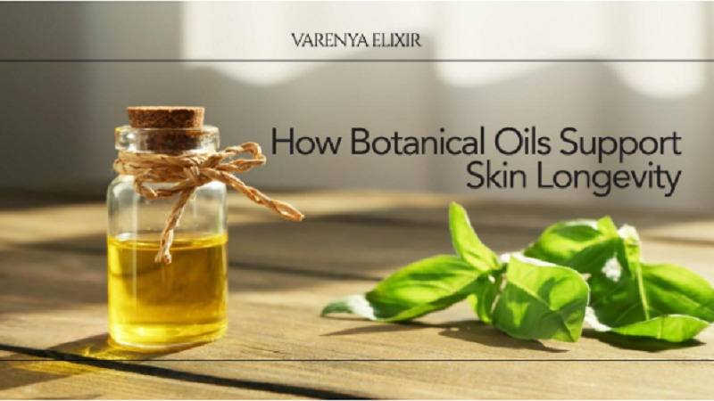 Face Oils for Wrinkles: How Botanical Oils Support Skin Longevity
